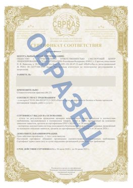 Образец Сертификат СТО 01.064.00220722.2-2020 Покровка Сертификат СТО 01.064.00220722.2-2020 